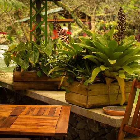 Quinta Da Mo Venkovský dům