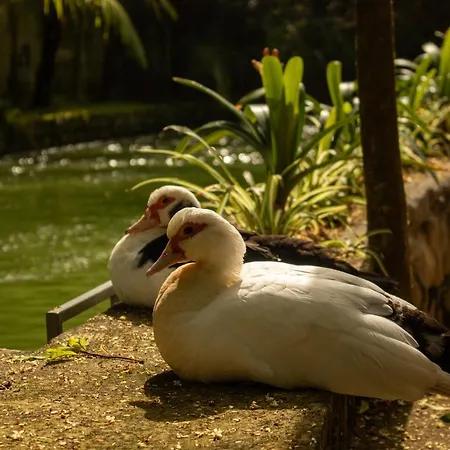 Quinta Da Mo Venkovský dům