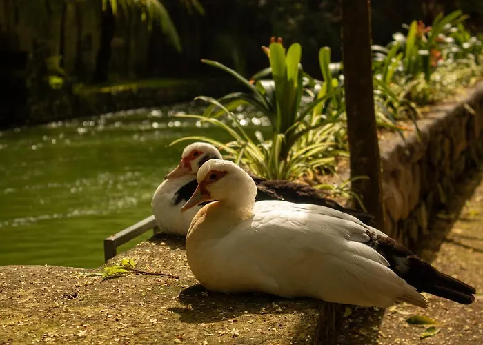 Quinta Da Mo منزل ريفي