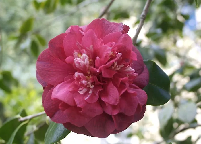 منزل ريفي Quinta Da Mo