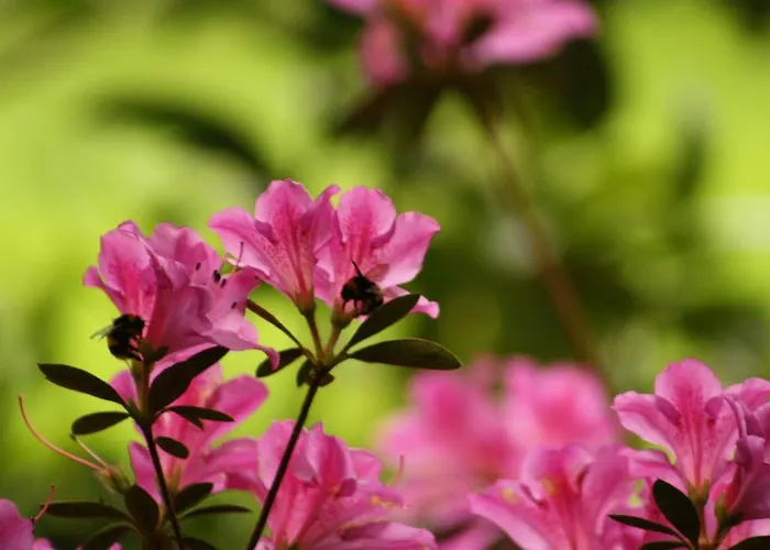 Quinta Da Mo منزل ريفي