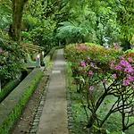 Quinta Da Mo * Furnas (Azores)