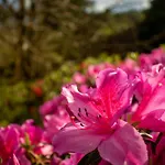 Quinta Da Mo * Furnas (Azores)