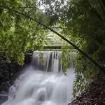 Quinta Da Mo * Furnas (Azores)