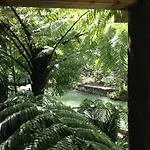 Quinta Da Mo Kır Evi Furnas (Azores)
