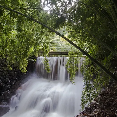 Quinta Da Mo * Furnas (Azores)
